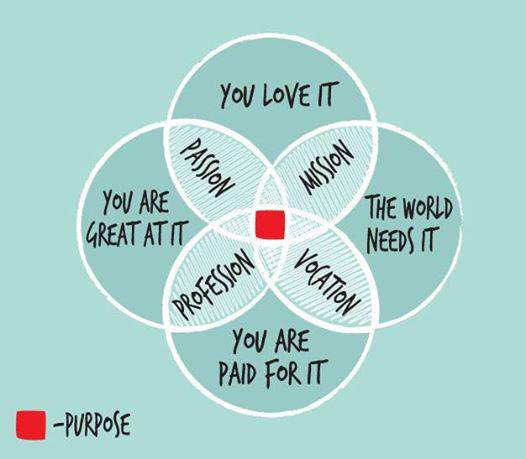 finding purpose