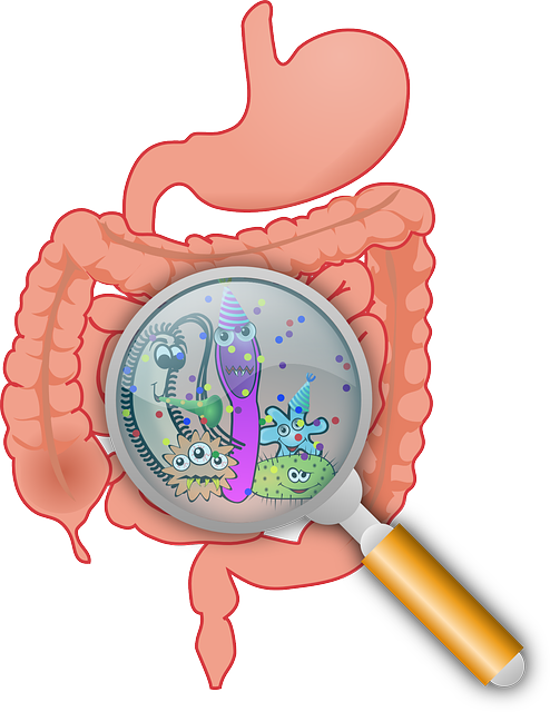 WTH is... Leaky Gut Syndrome? Is It Causing Your Bloating?